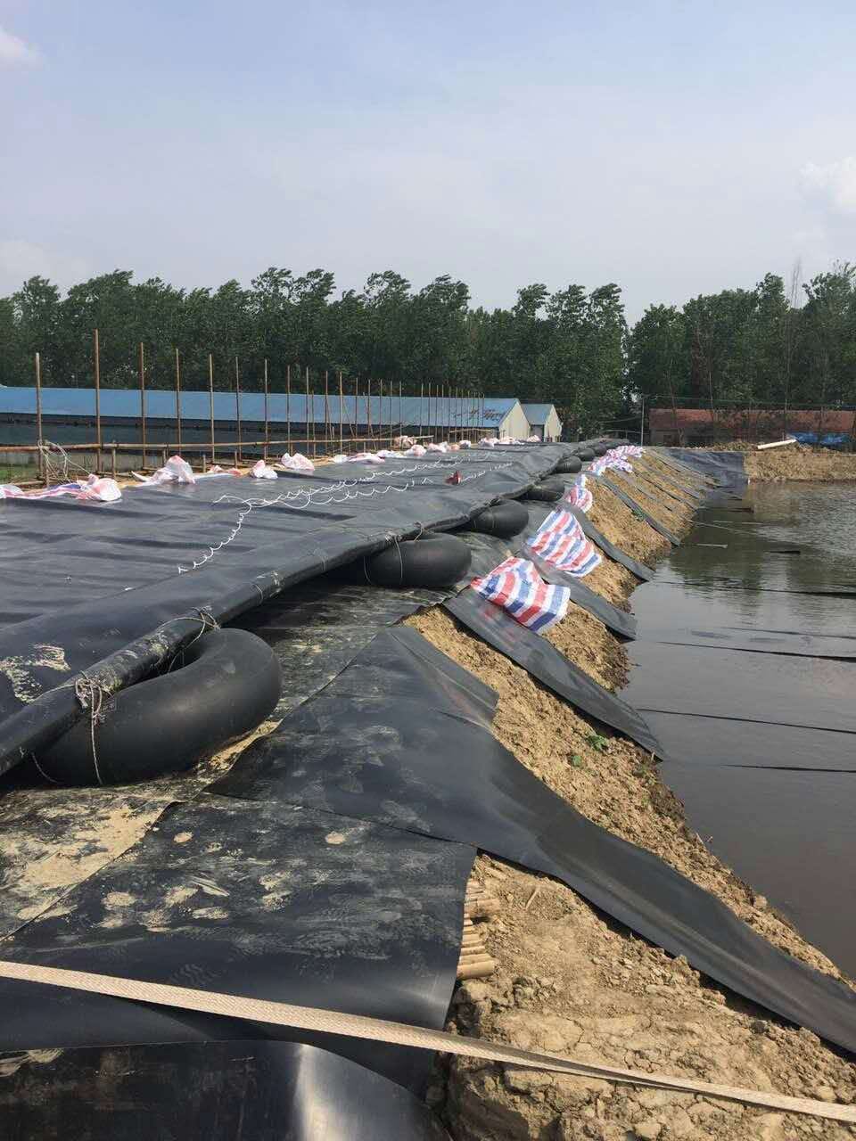 生產廠家透露土工膜的成形加工工藝